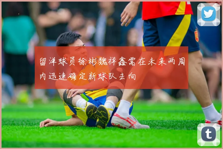 留洋球员徐彬魏祥鑫需在未来两周内迅速确定新球队去向